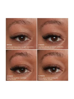 Anastasia Beverly Hills Brow Genius Serum | MECCA