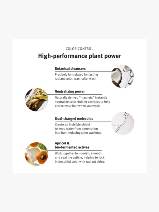 AVEDA Colour Control Conditioner | MECCA