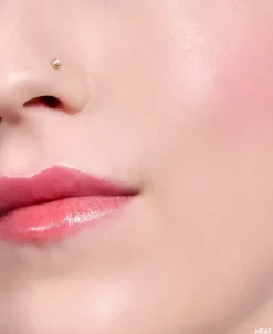 Bobbi Brown Lip and Cheek Oil | MECCA