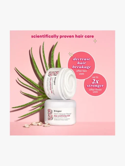 Briogeo Don't Despair, Repair!™ Deep Conditioning Hair Mask | MECCA