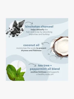 Briogeo Scalp Revival™ Charcoal + Tea Tree Cooling Hydration Mask | MECCA