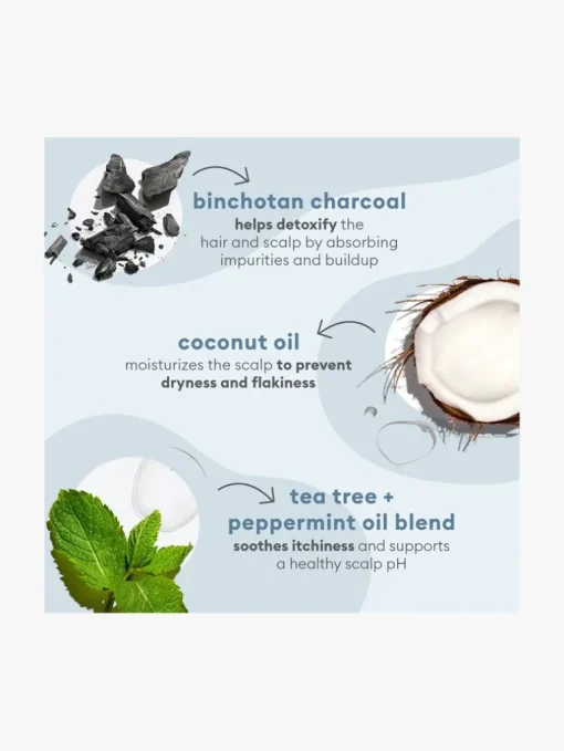 Briogeo Scalp Revival™ Charcoal + Tea Tree Cooling Hydration Mask | MECCA