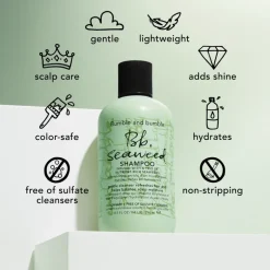 Bumble and bumble Seaweed Shampoo | MECCA