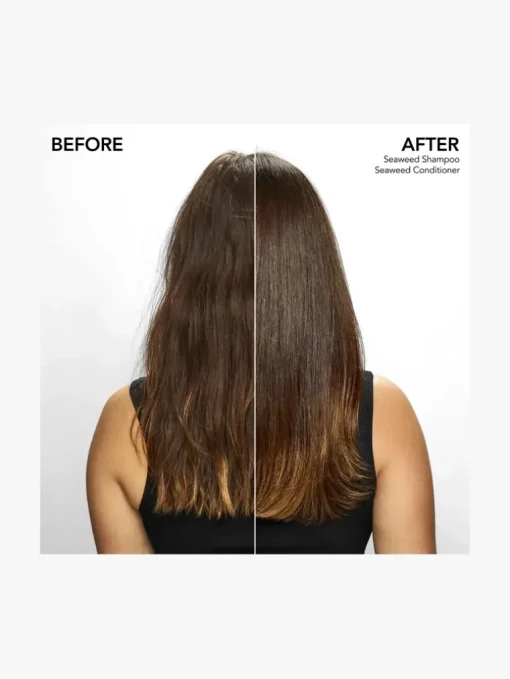 Bumble and bumble Seaweed Shampoo | MECCA