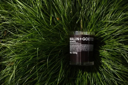 Cannabis Candle - MALIN+GOETZ | MECCA