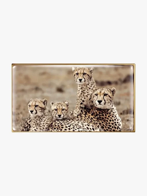 Chantecaille Cheetah Eye Trio | MECCA