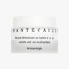 Chantecaille Jasmine Lily Healing Mask | MECCA