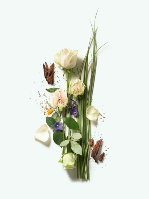 CORPUS | Third Rose Body Wash