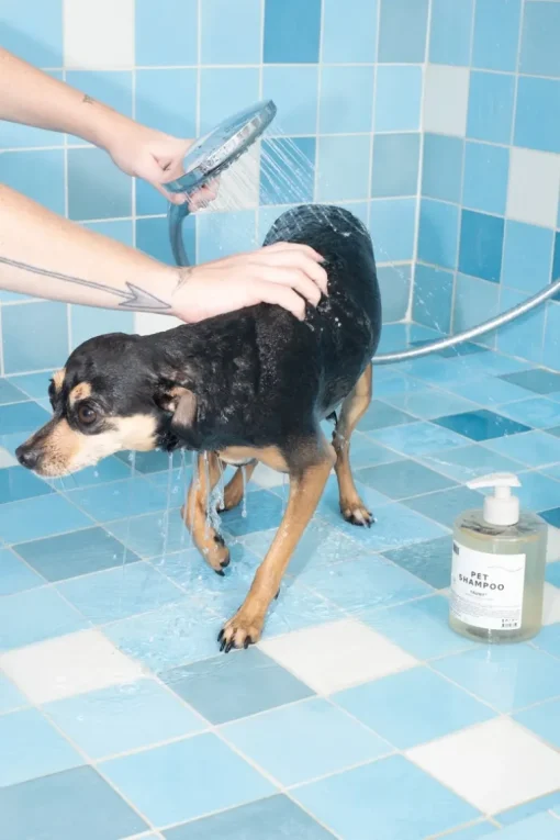 DedCool Pet Shampoo Refill | MECCA