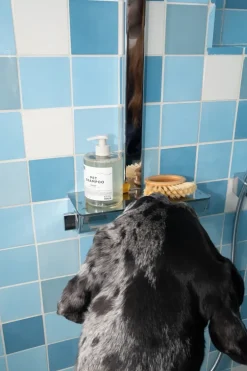 DedCool Pet Shampoo Refill | MECCA