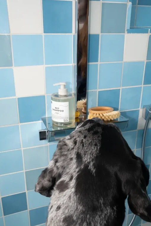 DedCool Pet Shampoo Refill | MECCA