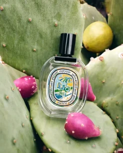 DIPTYQUE Ilio EDT | MECCA