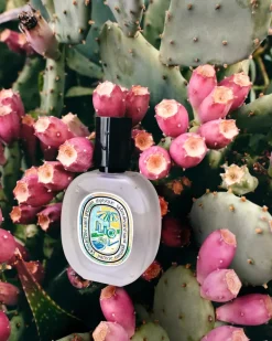 DIPTYQUE Ilio Hair Mist | MECCA