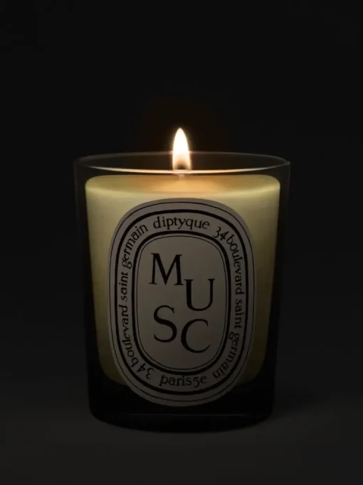 diptyque Musc Candle | MECCA