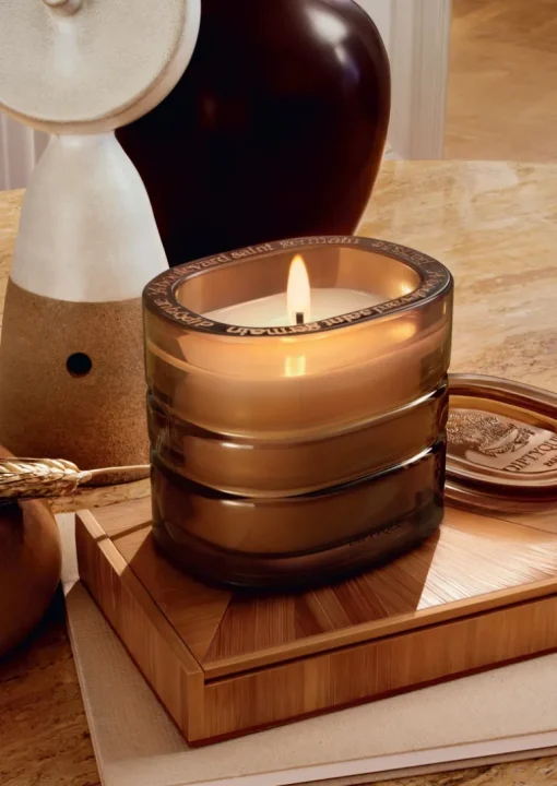 DIPTYQUE Terres Blondes Premium Scented Candle | MECCA