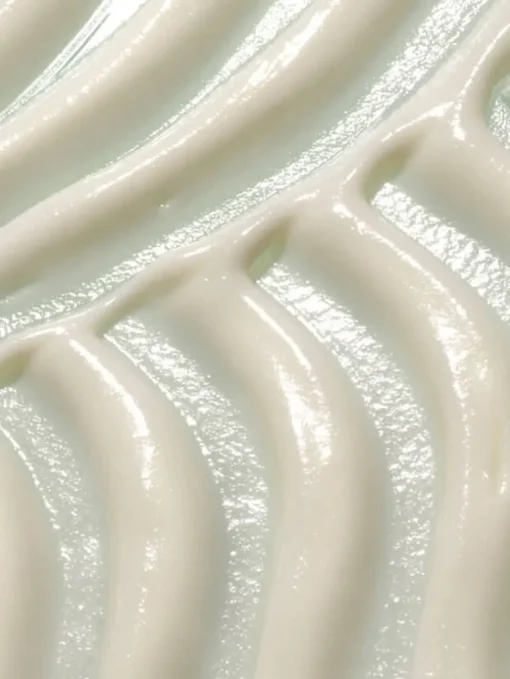 Evercalm Protect Day Cream - Ren | MECCA