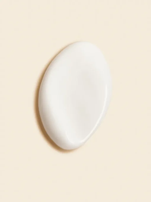 Fig.1 Ceramide Moisturizer - Refill | MECCA