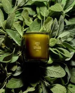 Flamingo Estate Adriatic Muscatel Sage Candle | MECCA