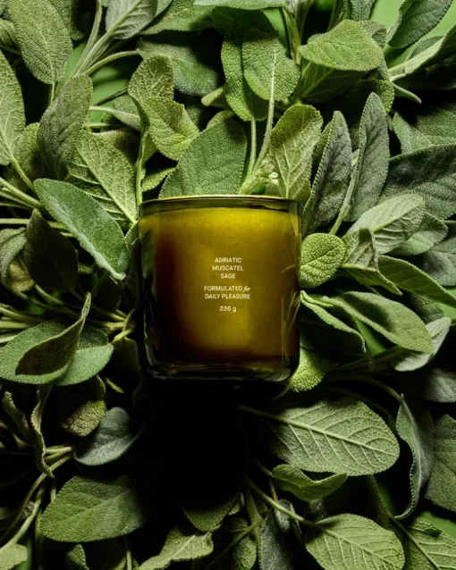Flamingo Estate Adriatic Muscatel Sage Candle | MECCA