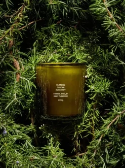Flamingo Estate Climbing Tuscan Rosemary Candle | MECCA
