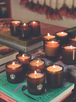 Flamingo Estate Climbing Tuscan Rosemary Candle | MECCA