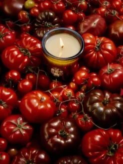 Flamingo Estate Roma Heirloom Tomato Candle | MECCA