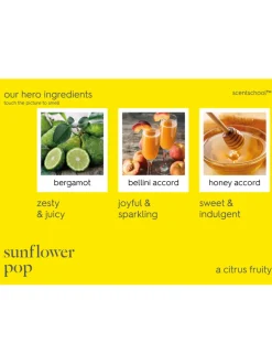 Floral Street Sunflower Pop Scented Reeds | MECCA
