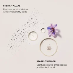 Laura Mercier Serum Body Cream Almond Coconut | MECCA