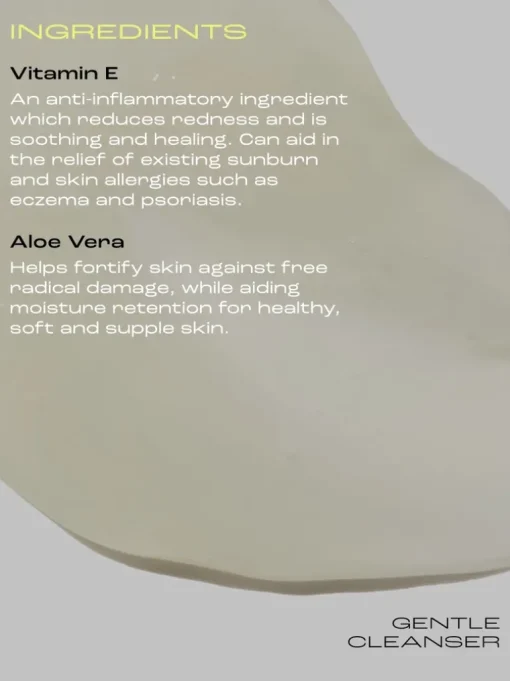 Skinstitut Gentle Cleanser | MECCA