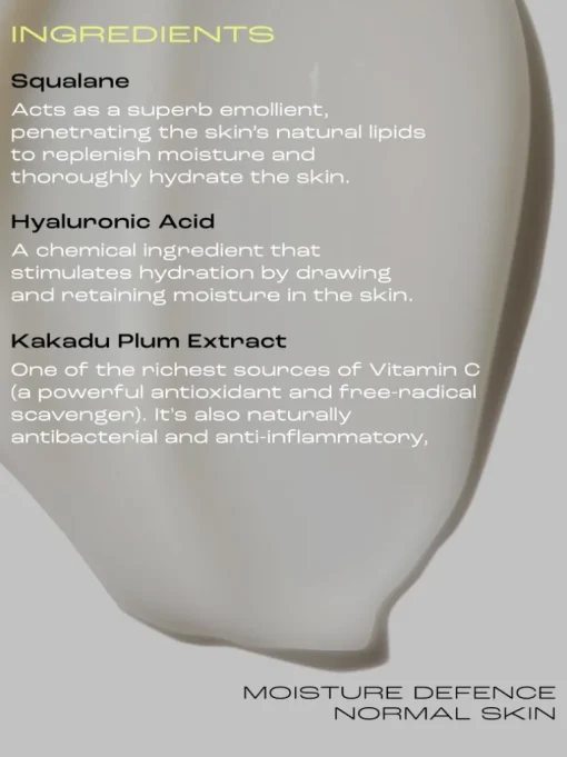 Skinstitut Moisture Defence Normal | MECCA